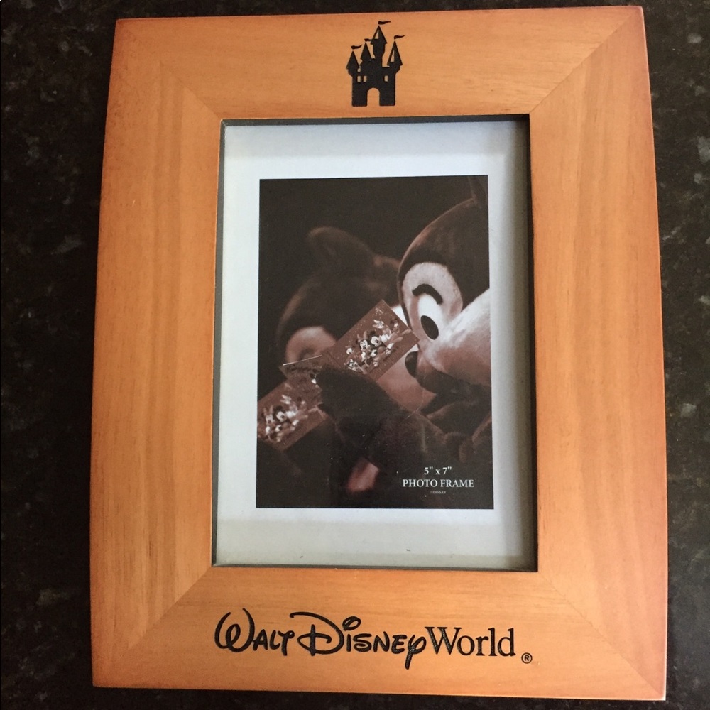 Disney frame